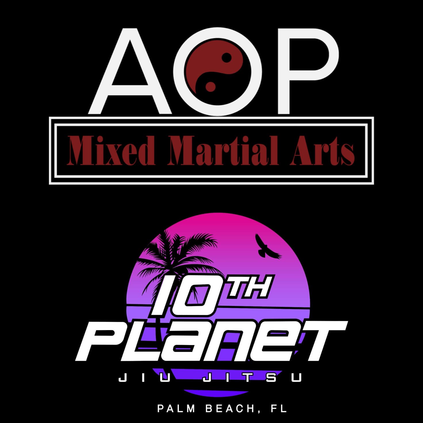 10th Planet Palm Beach / AOP MMA logo
