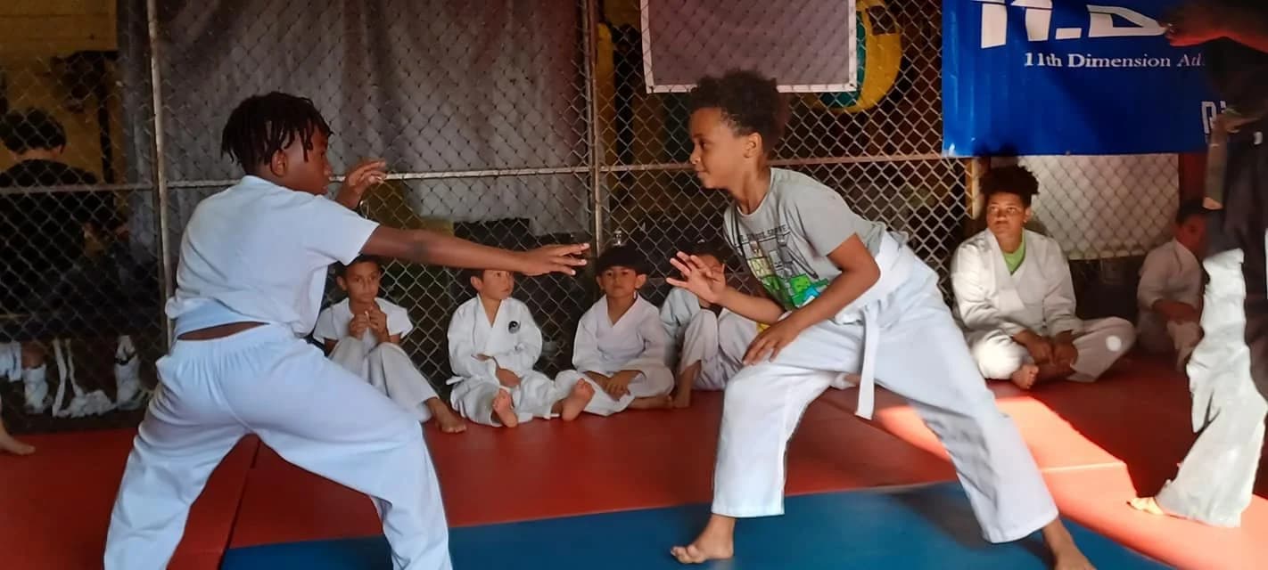 Main image of 11th dimension martial arts