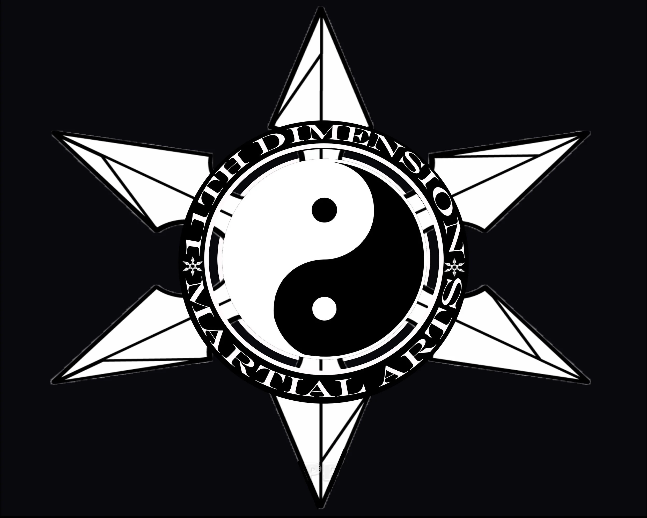 11th dimension martial arts logo