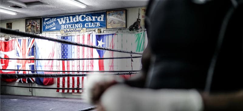 Main image of Wild Card Boxing Club