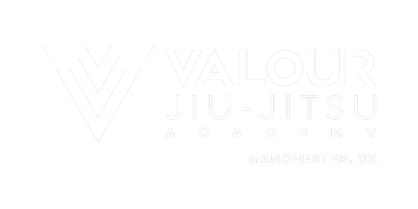 Valour JiuJitsu Manchester logo