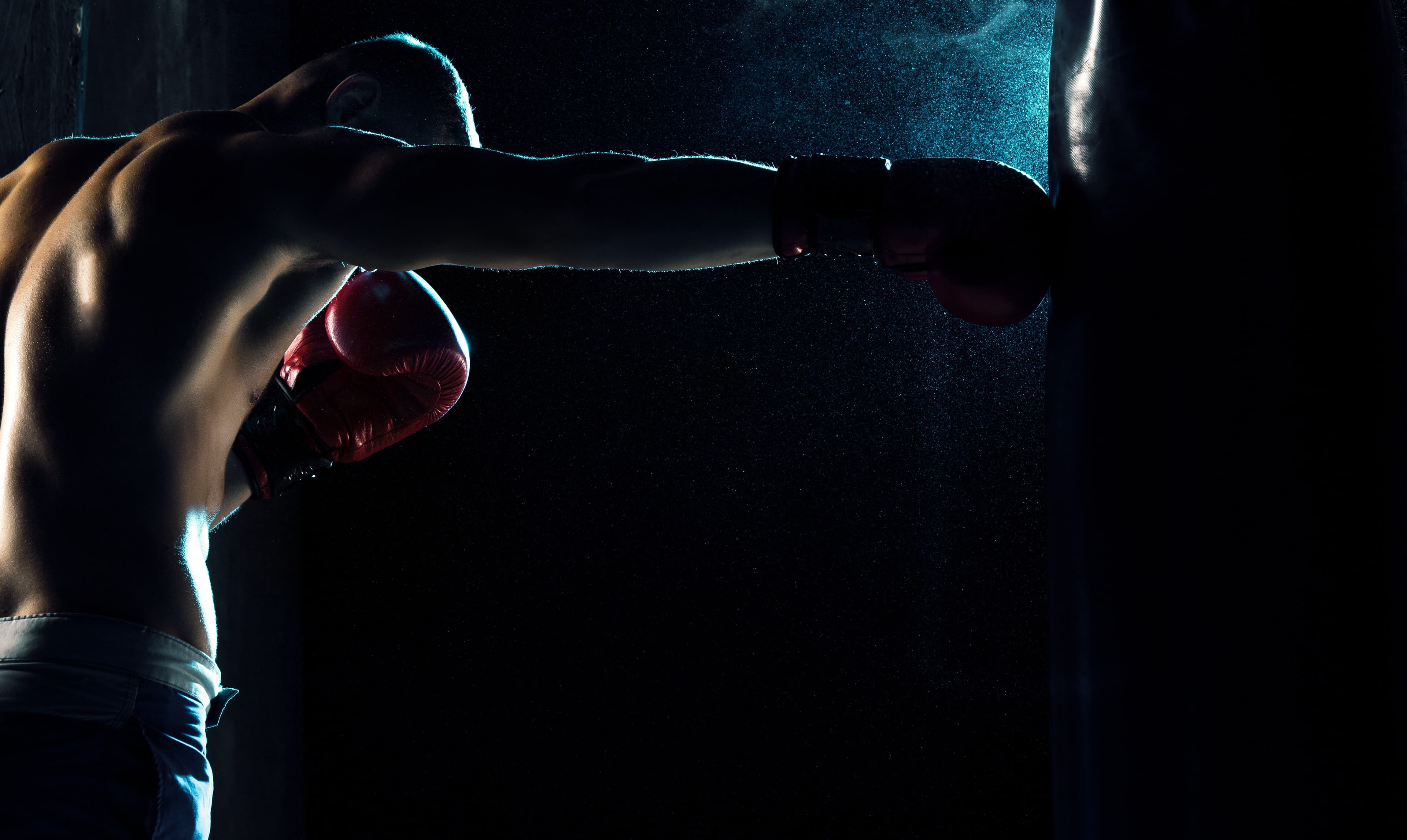 Main image of MFC 81 Escola de artes marciais Asa Norte