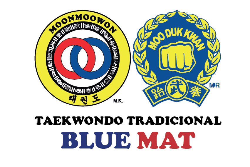 Blue Mat Academy logo
