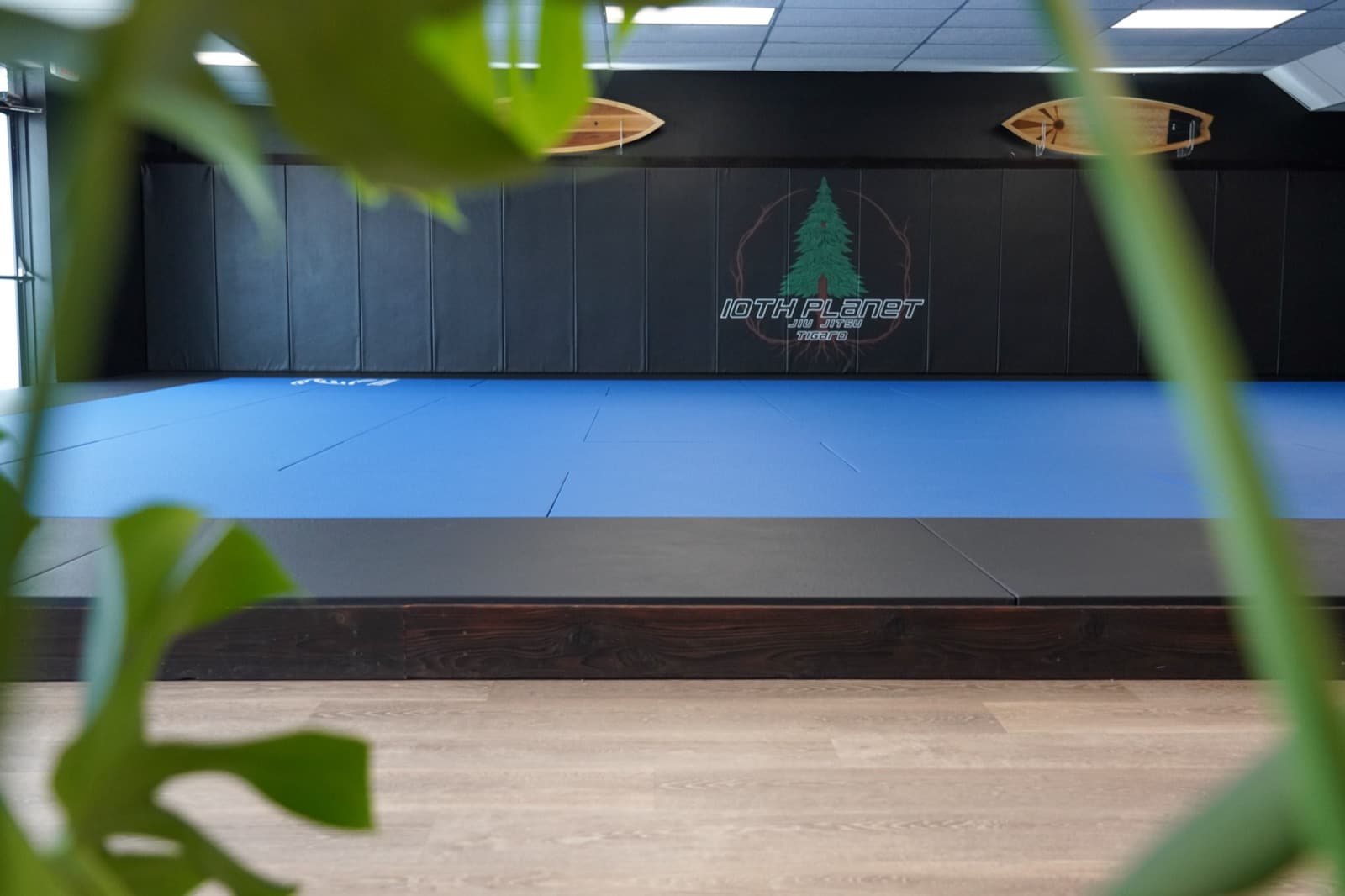 Main image of 10th Planet Jiu Jitsu Tigard