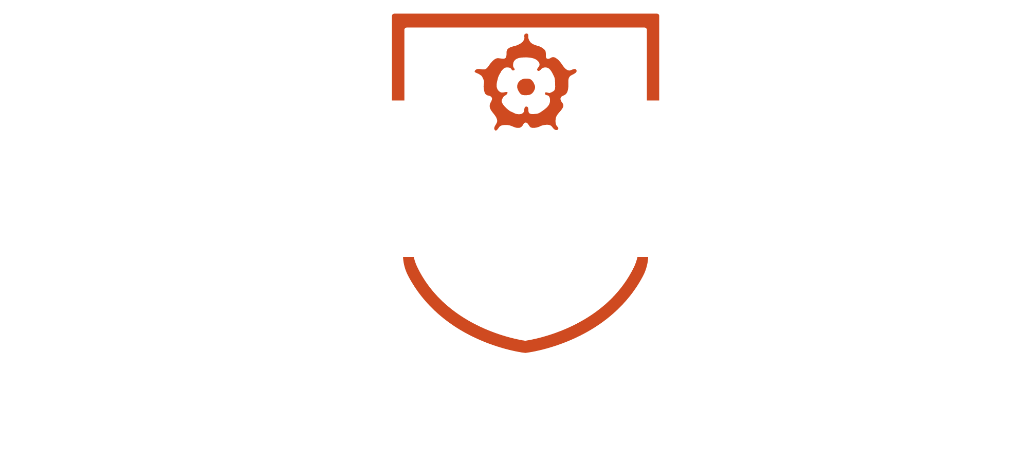 3 Lions Muay Thai logo