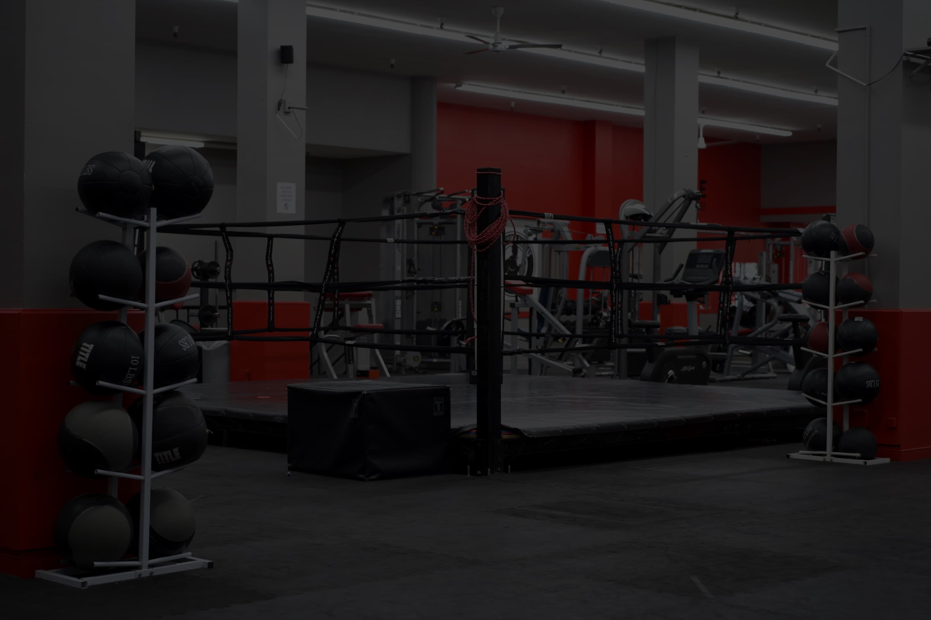 Pro Boxing Fitness & Gym logo