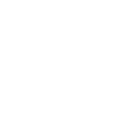 New Breed American Jiu Jitsu logo