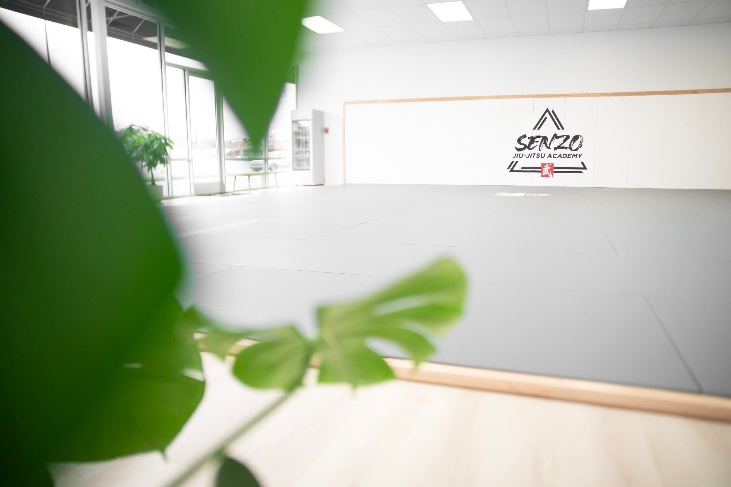 Main image of Senzo Jiu-Jitsu Academy