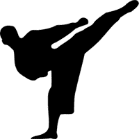 Main image of Rising Son MMA