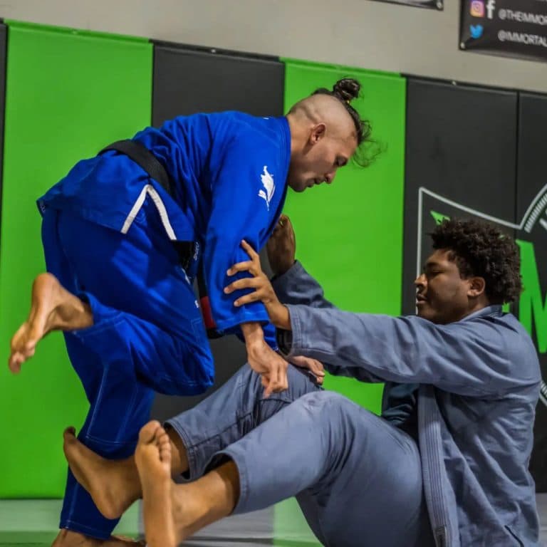 Main image of Immortal Martial Arts Center