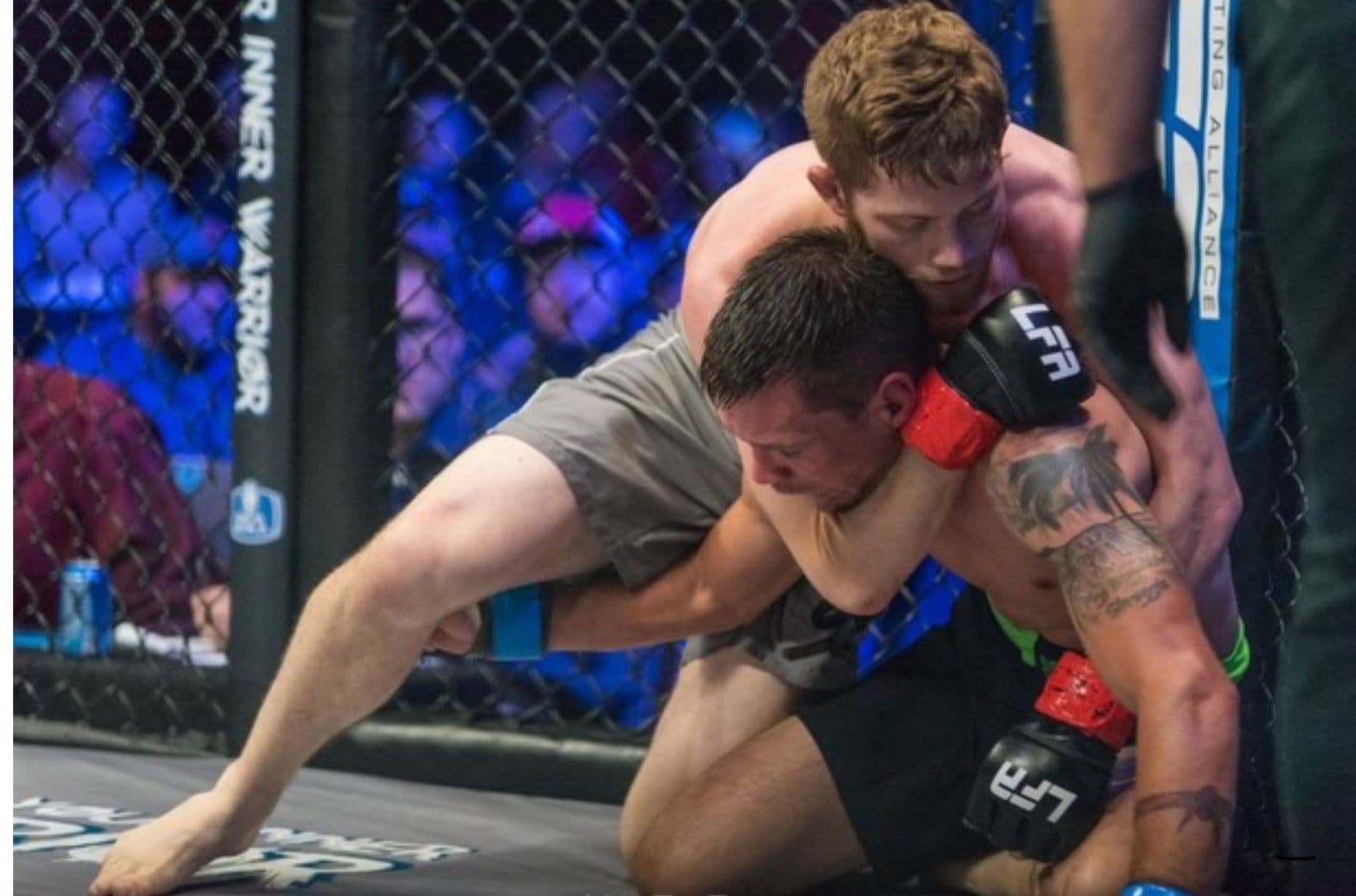 Main image of Roots Mixed Martial Arts