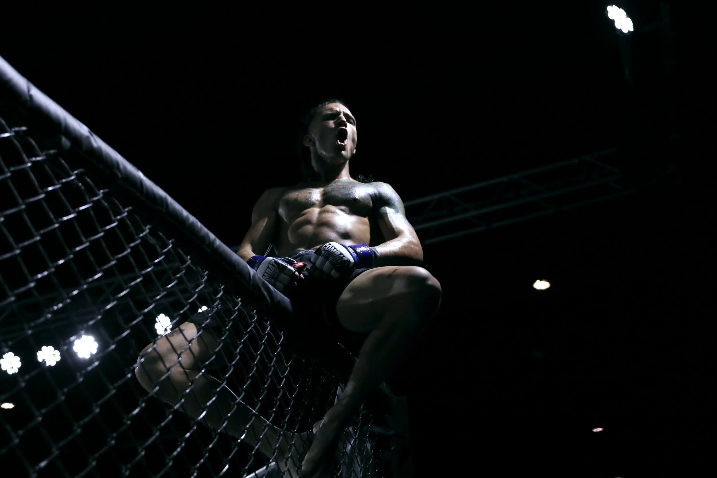 Main image of Mad Max's Academy (MMA)