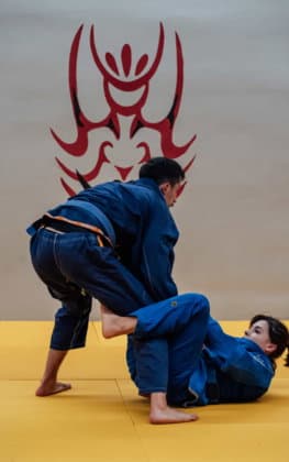 Main image of Nemeos Jiu Jitsu - Brazilian Jiu Jitsu
