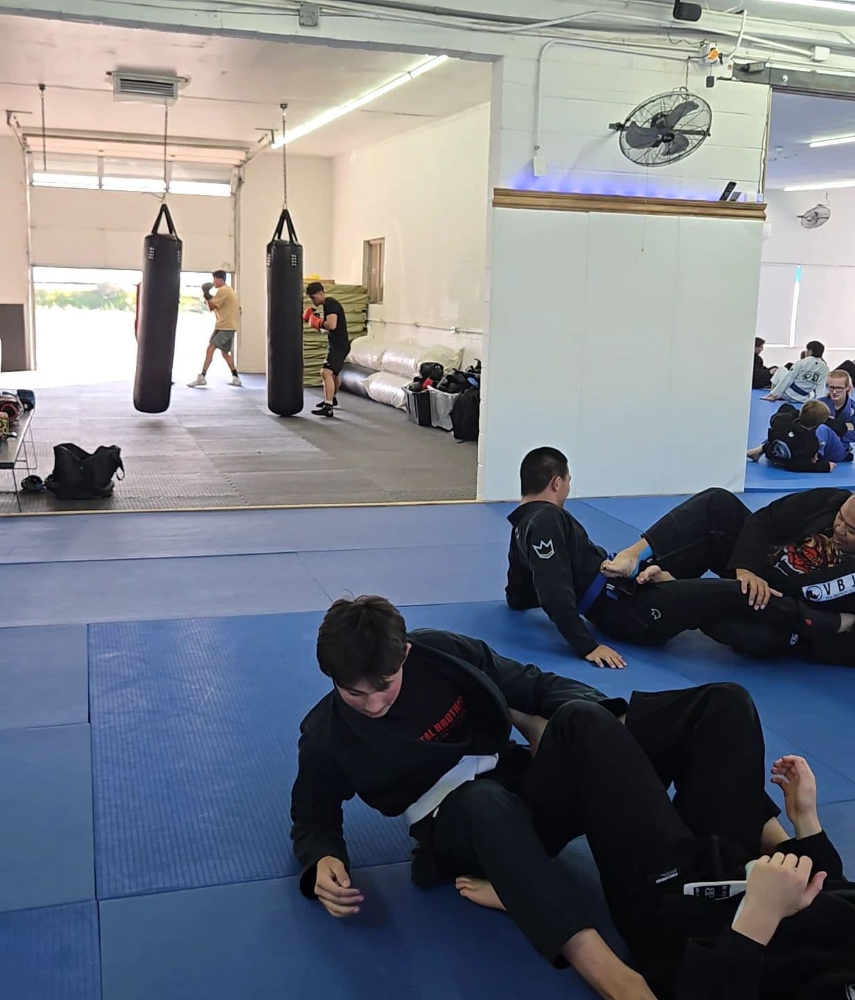 VITAL BROTHERS BRAZILIAN JIU-JITSU ACADEMY logo