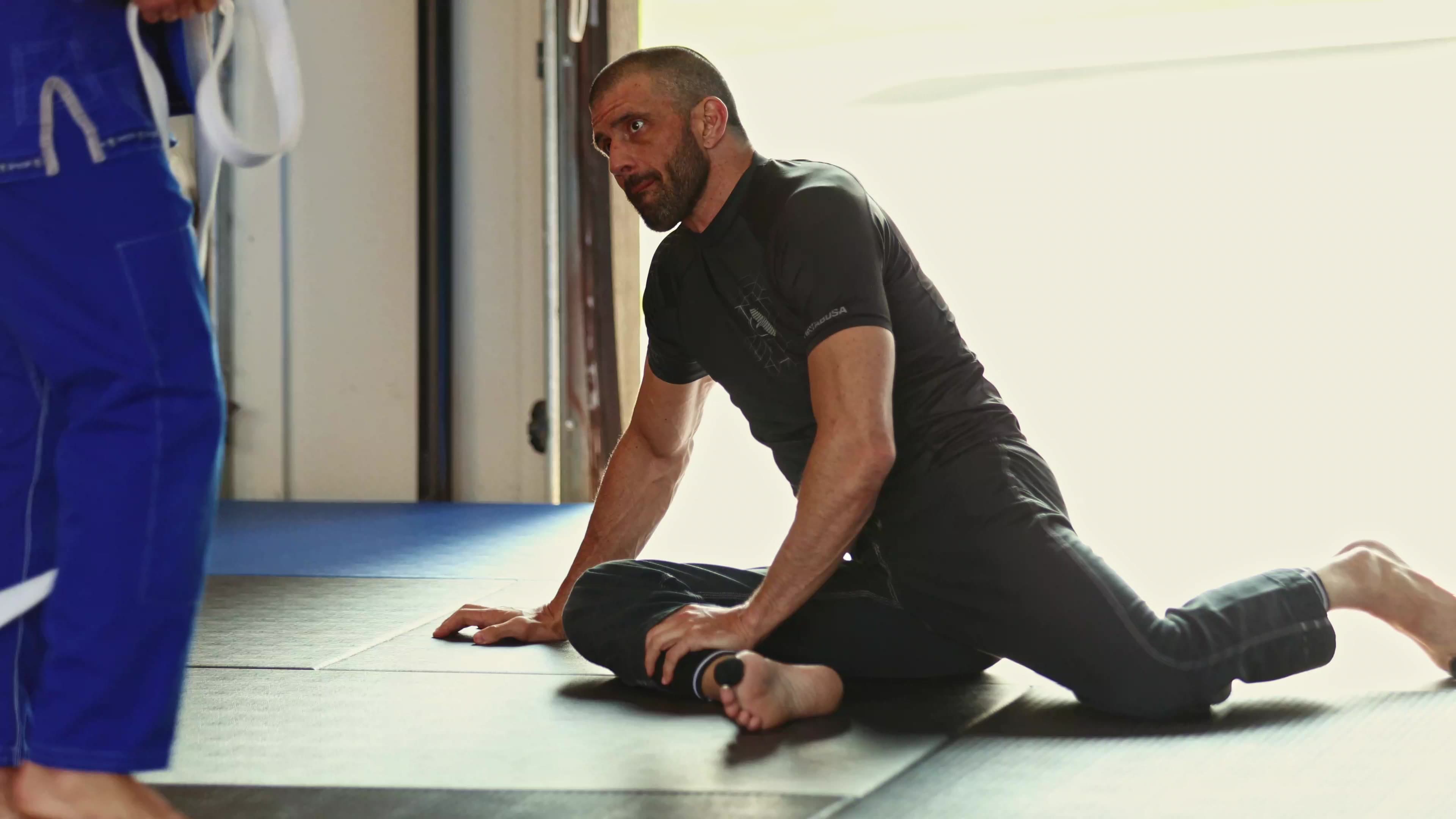 Main image of BPi Fight: BioPerformance Institute Fighting Systems