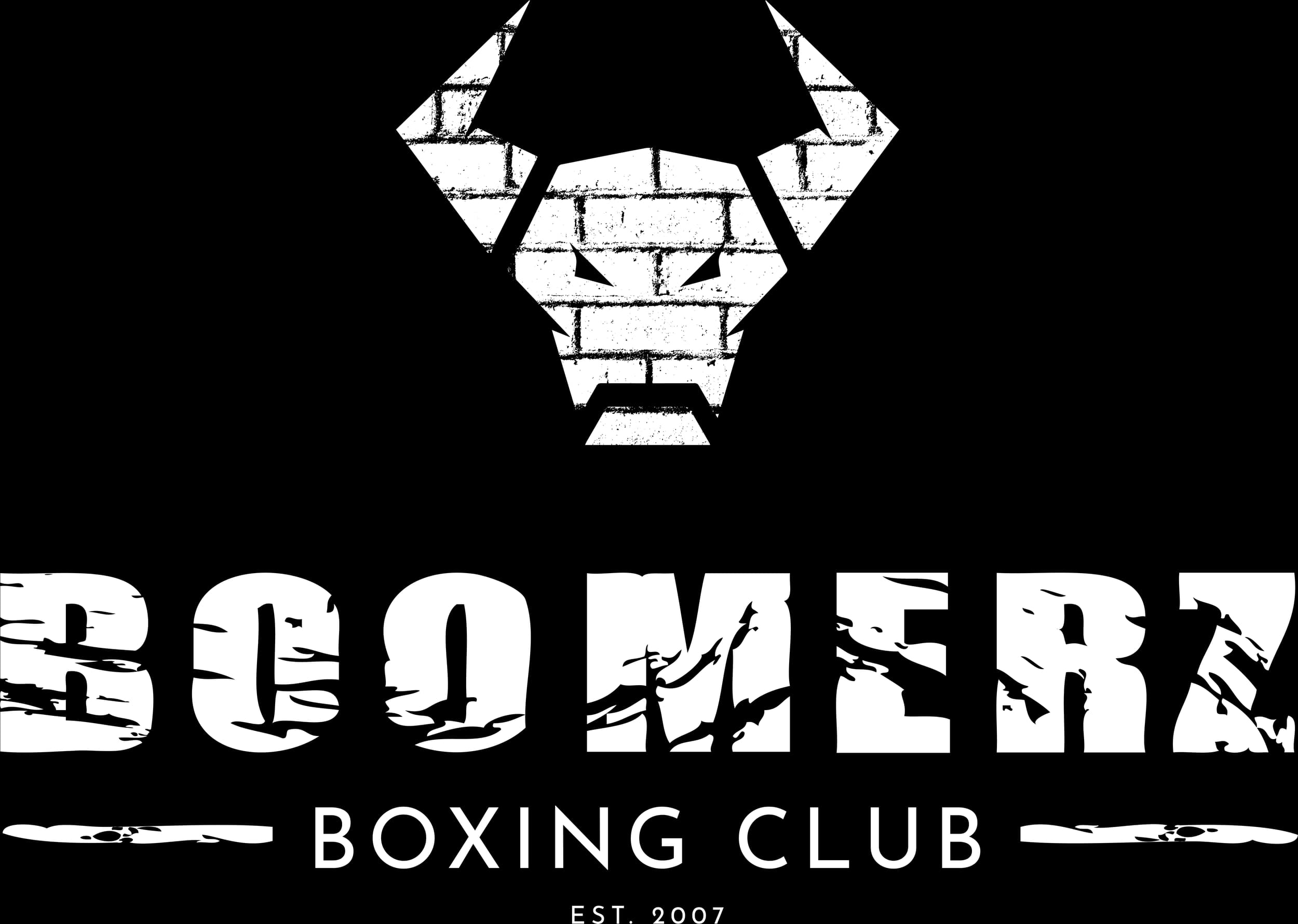 Boomerz Boxing logo
