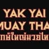 Main image of Yak Yai Muay Thai