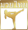 Main image of K.M.M.A. Freestyle Martial Arts Academy
