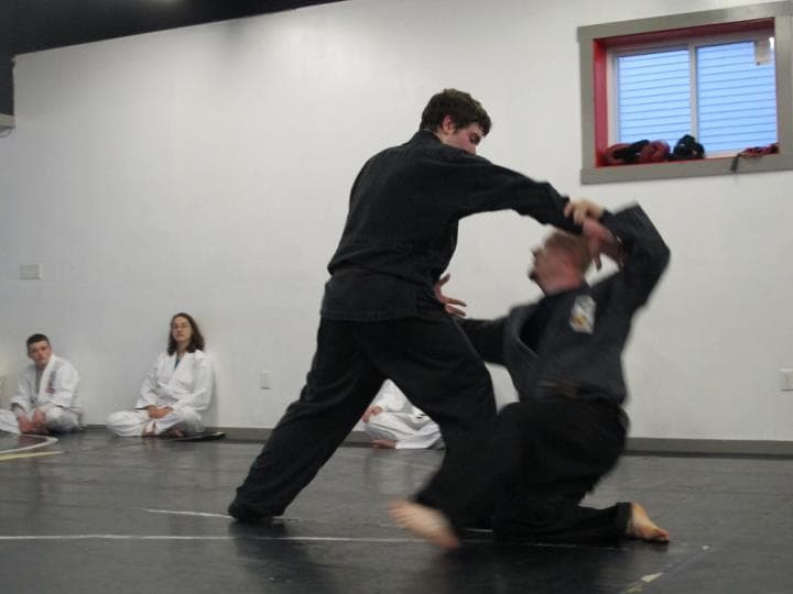 Vermont Martial Arts Academy logo