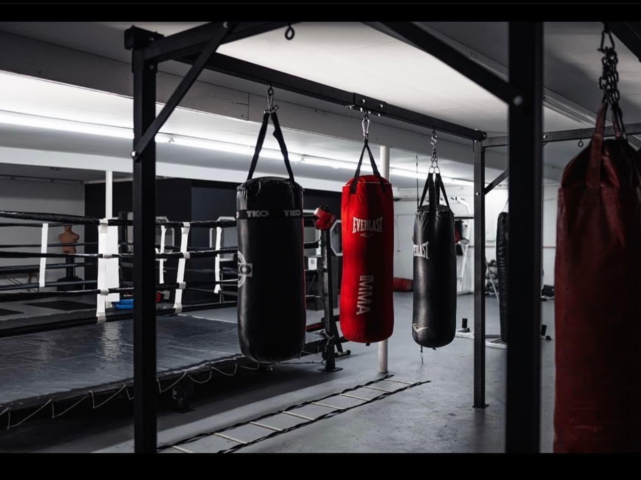 Main image of Dog House Boxing and Fitness LLC