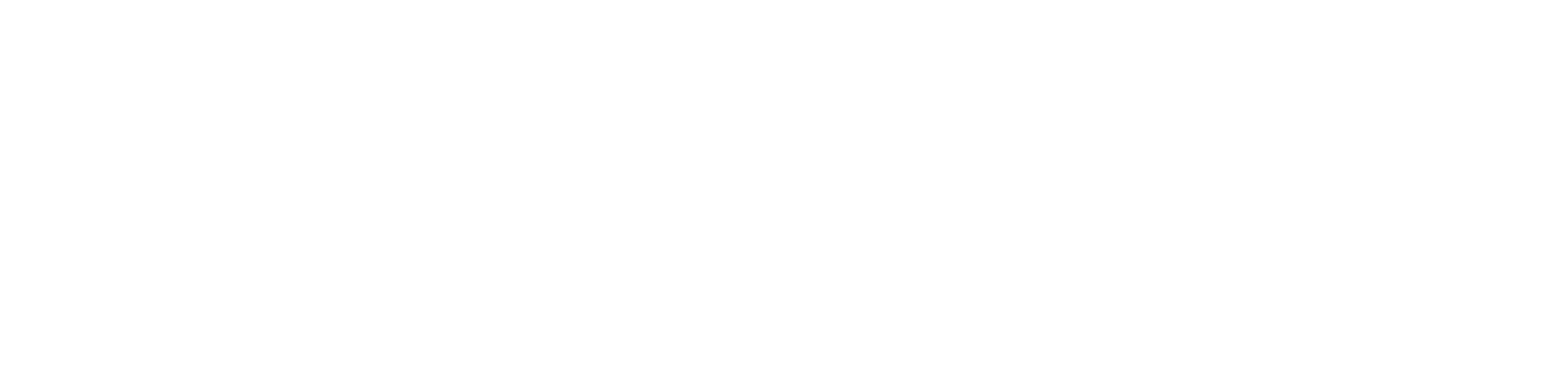  Maximus Muay Thai and Fitness logo