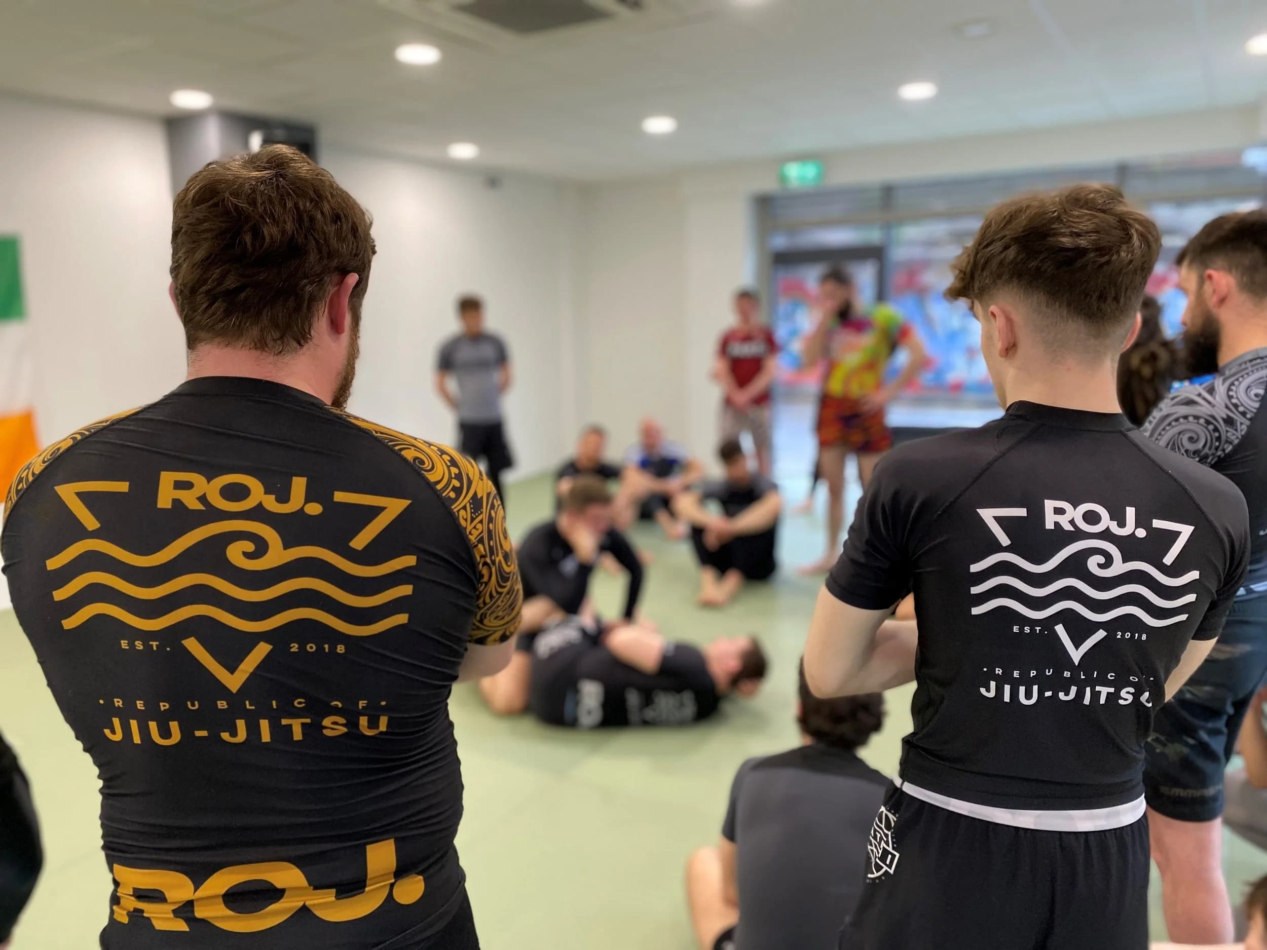 Main image of Republic of Jiu Jitsu