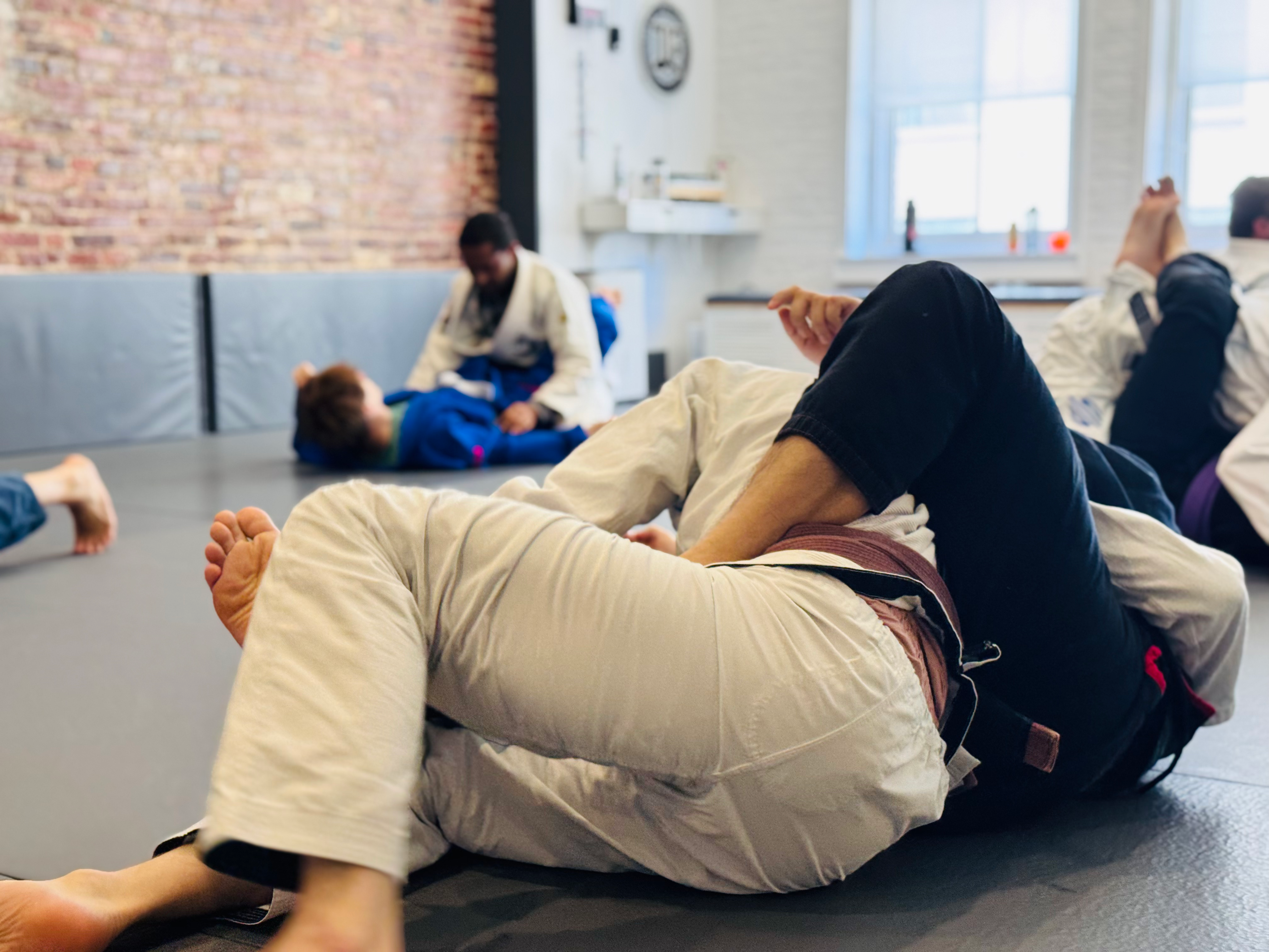 Main image of The Jiu Jitsu Company