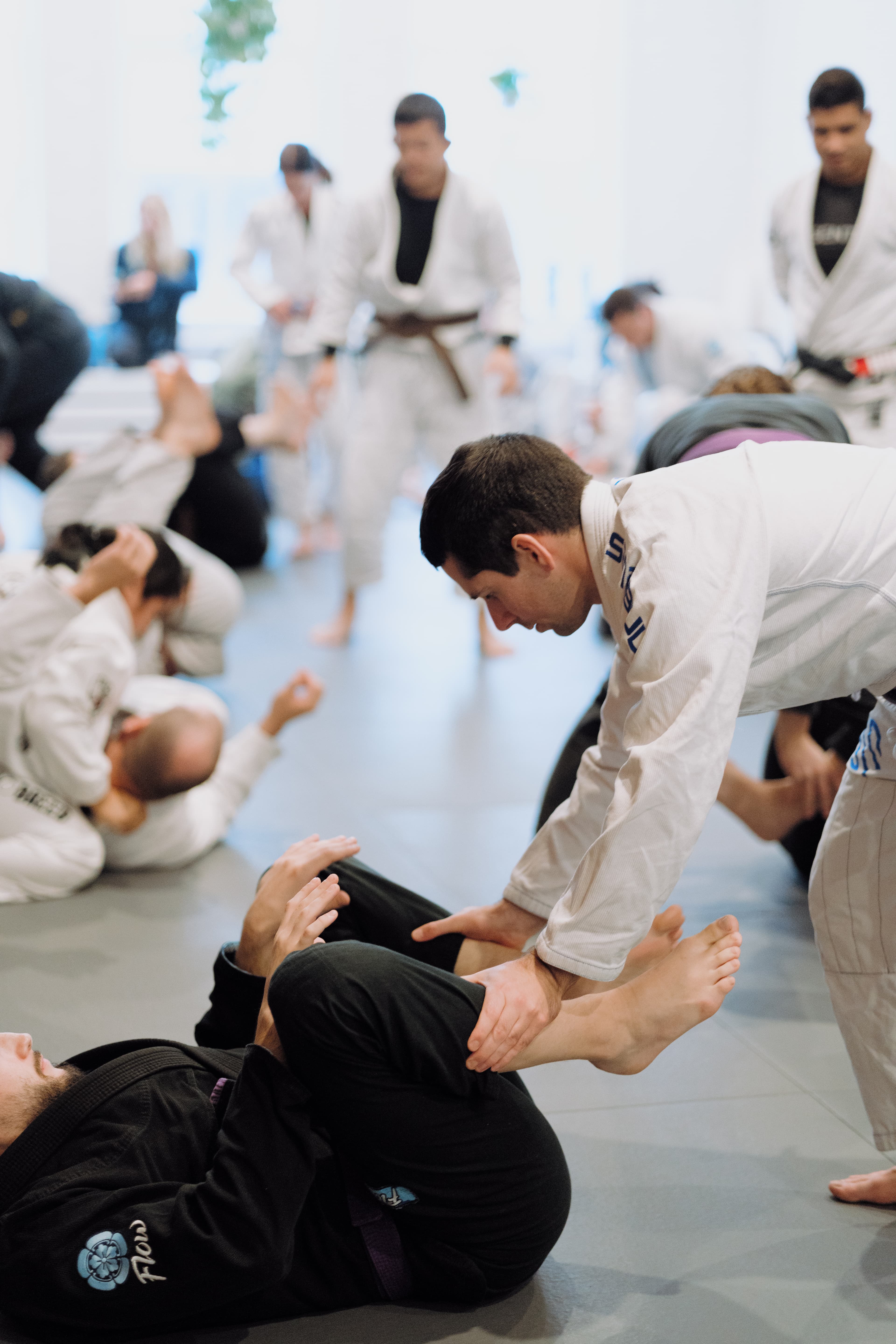 The Jiu Jitsu Company logo