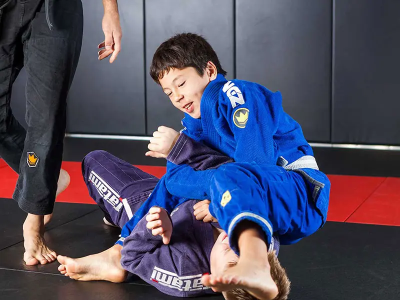 Main image of Mata Leao Combat Sports
