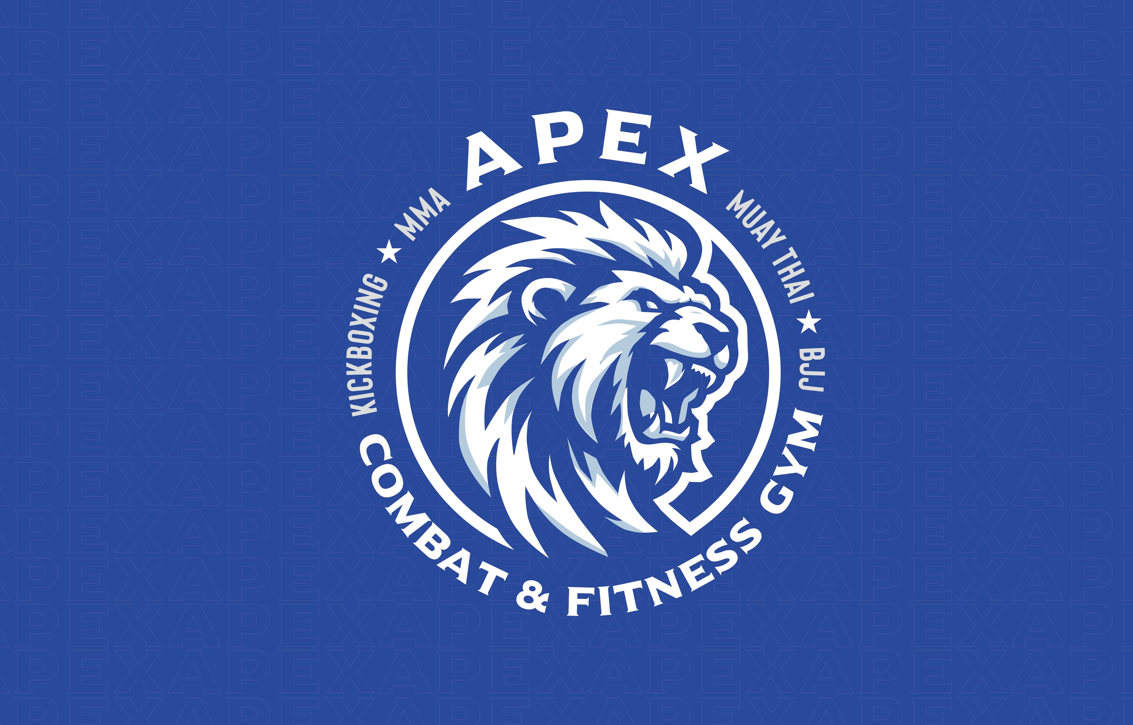Main image of APEX COMBAT AND FITNESS GYM