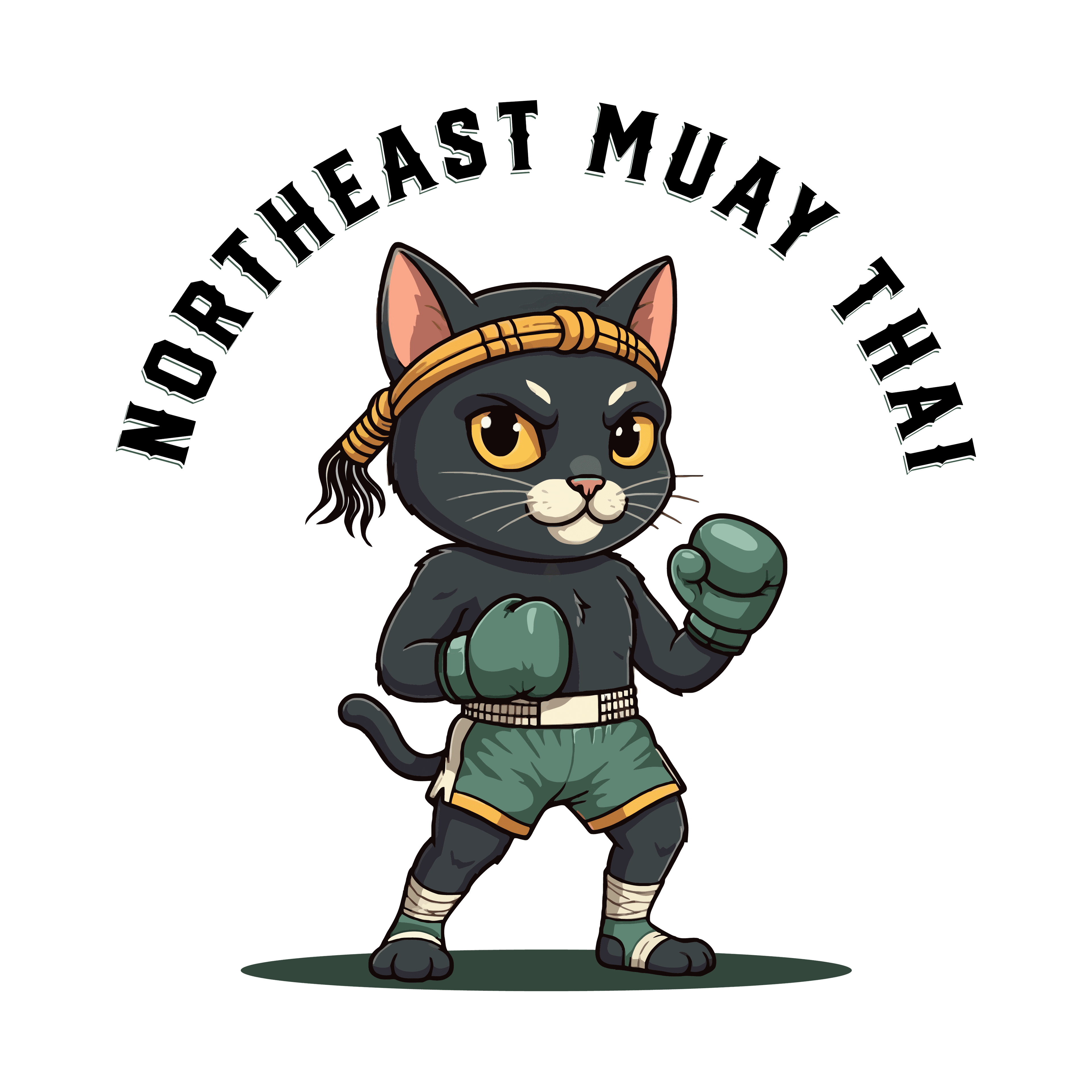 Main image of Northeast Muay Thai