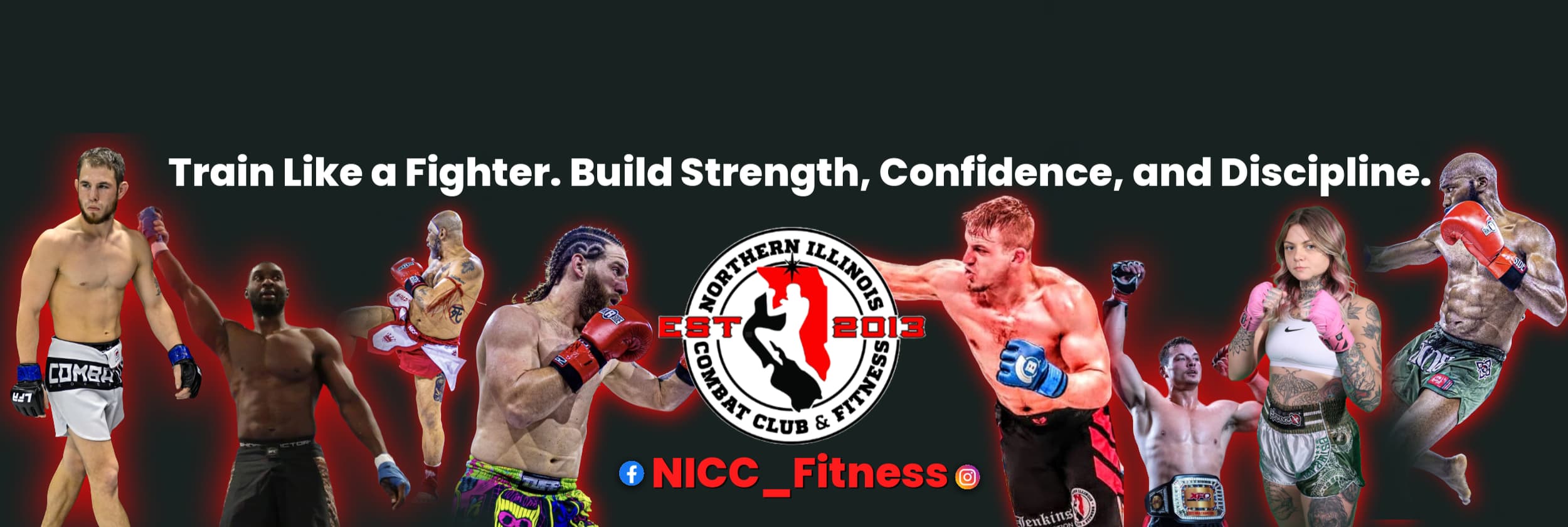 Main image of Northern Illinois Combat Club a& Fitness