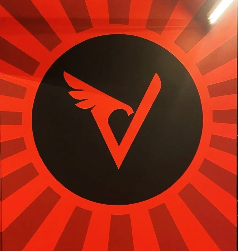 Valko Brazilian Jiu-Jitsu Academy logo
