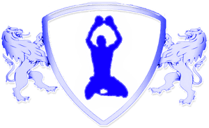 SwiftKick - MMA And Boxing logo