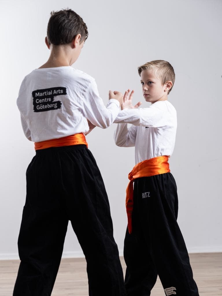 Main image of Martial Arts Centre Göteborg