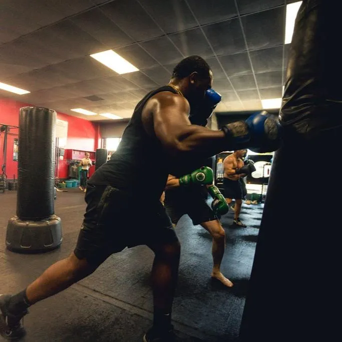Main image of The Boxing Prescription