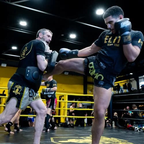 Main image of Elite Martial Arts Academy Braeside