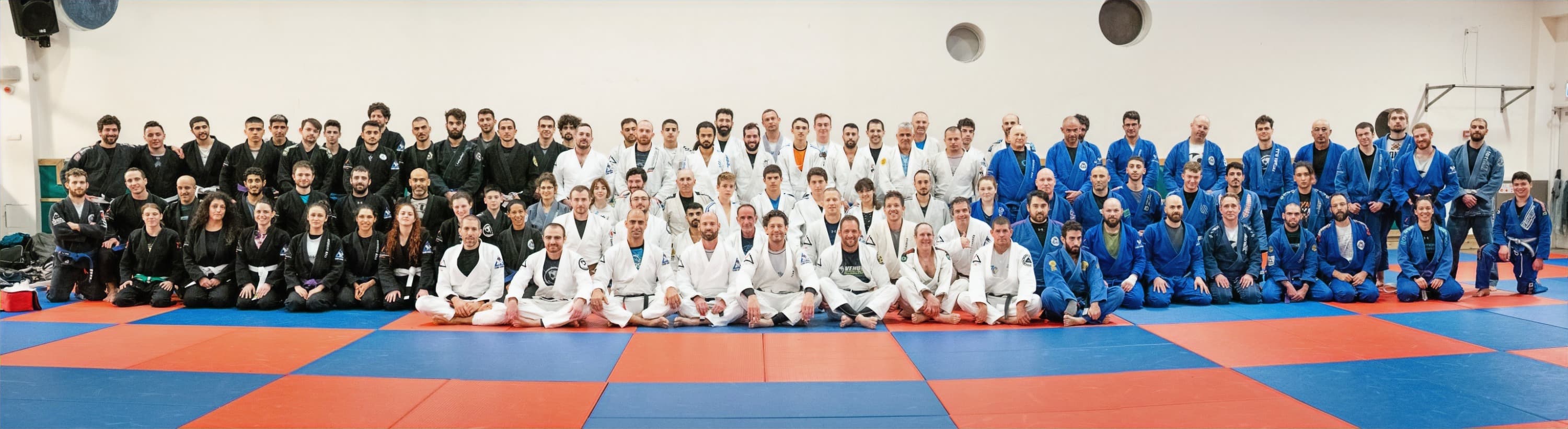 האקדמיה הישראלית לג'יו ג'יטסו ברזילאי ו-MMA logo