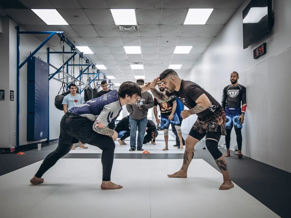 Main image of The Academy of Jiu-Jitsu