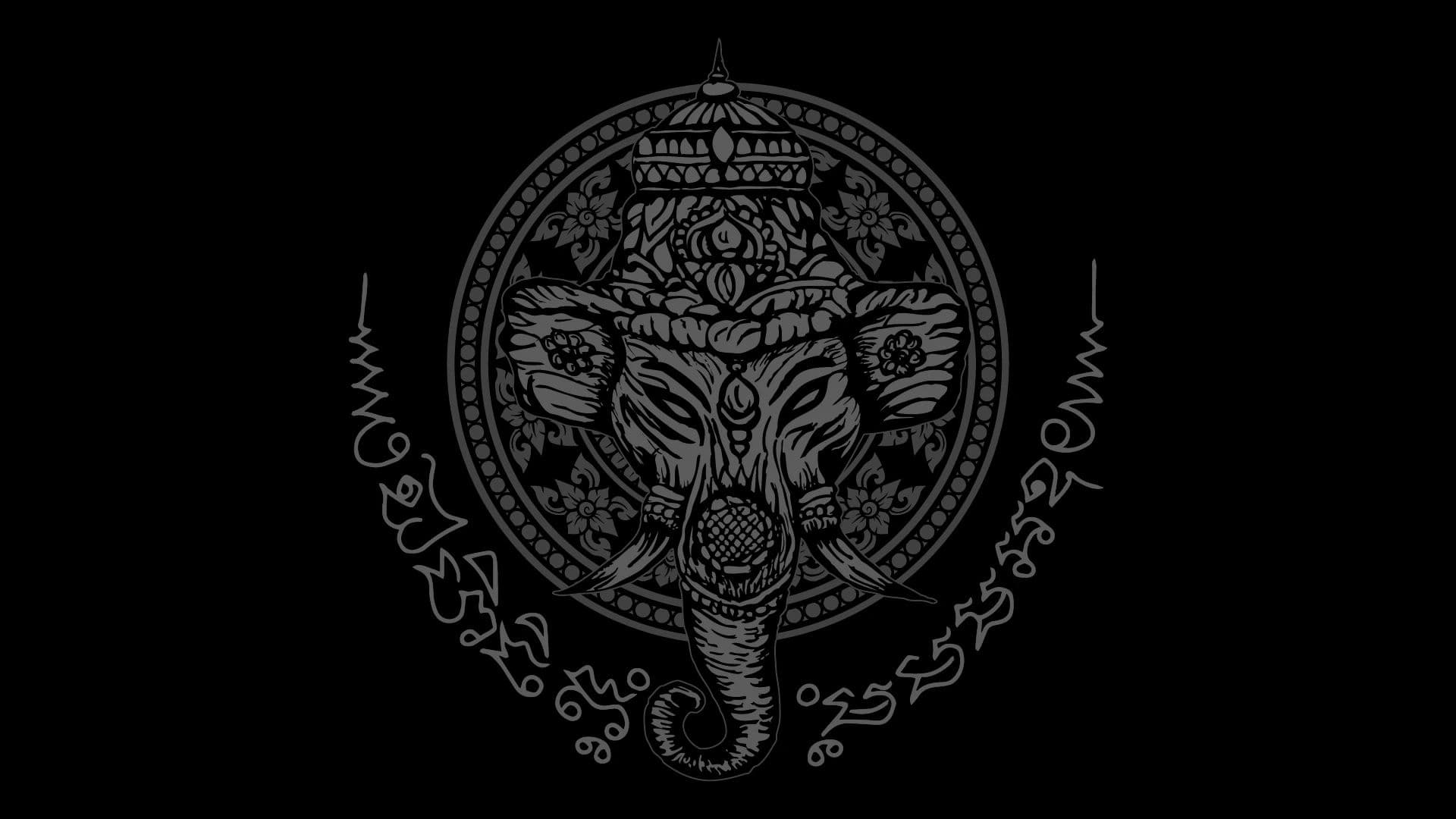 Main image of Ohana Muay Thai Camp