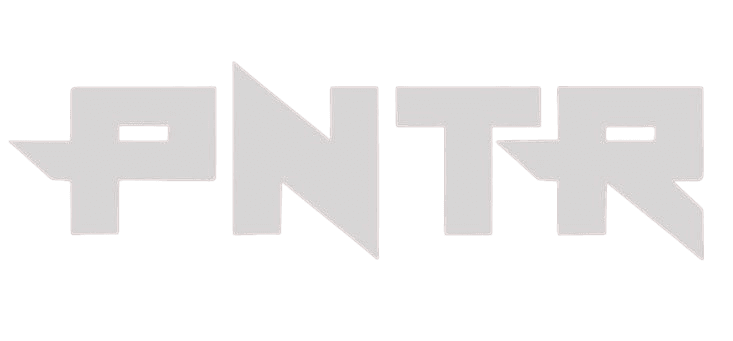 PNTR MUAYTHAI SCHOOL logo