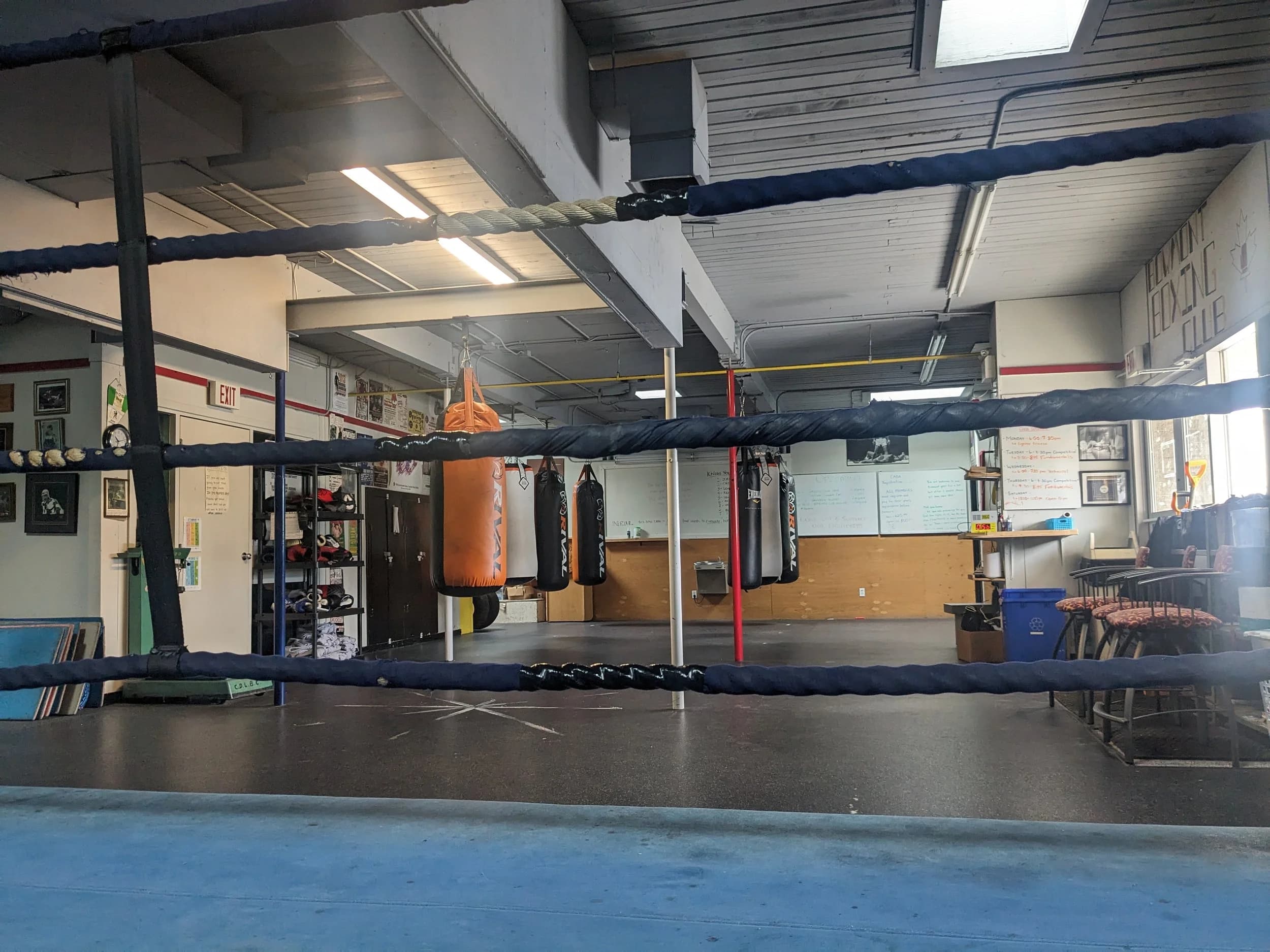Main image of Bowmont Boxing Club