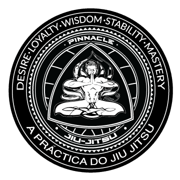 Pinnacle University BJJ logo