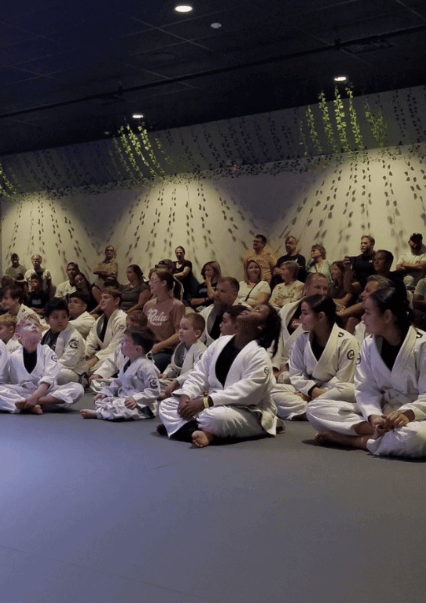 TAP Brazilian Jiu-Jitsu Academy logo