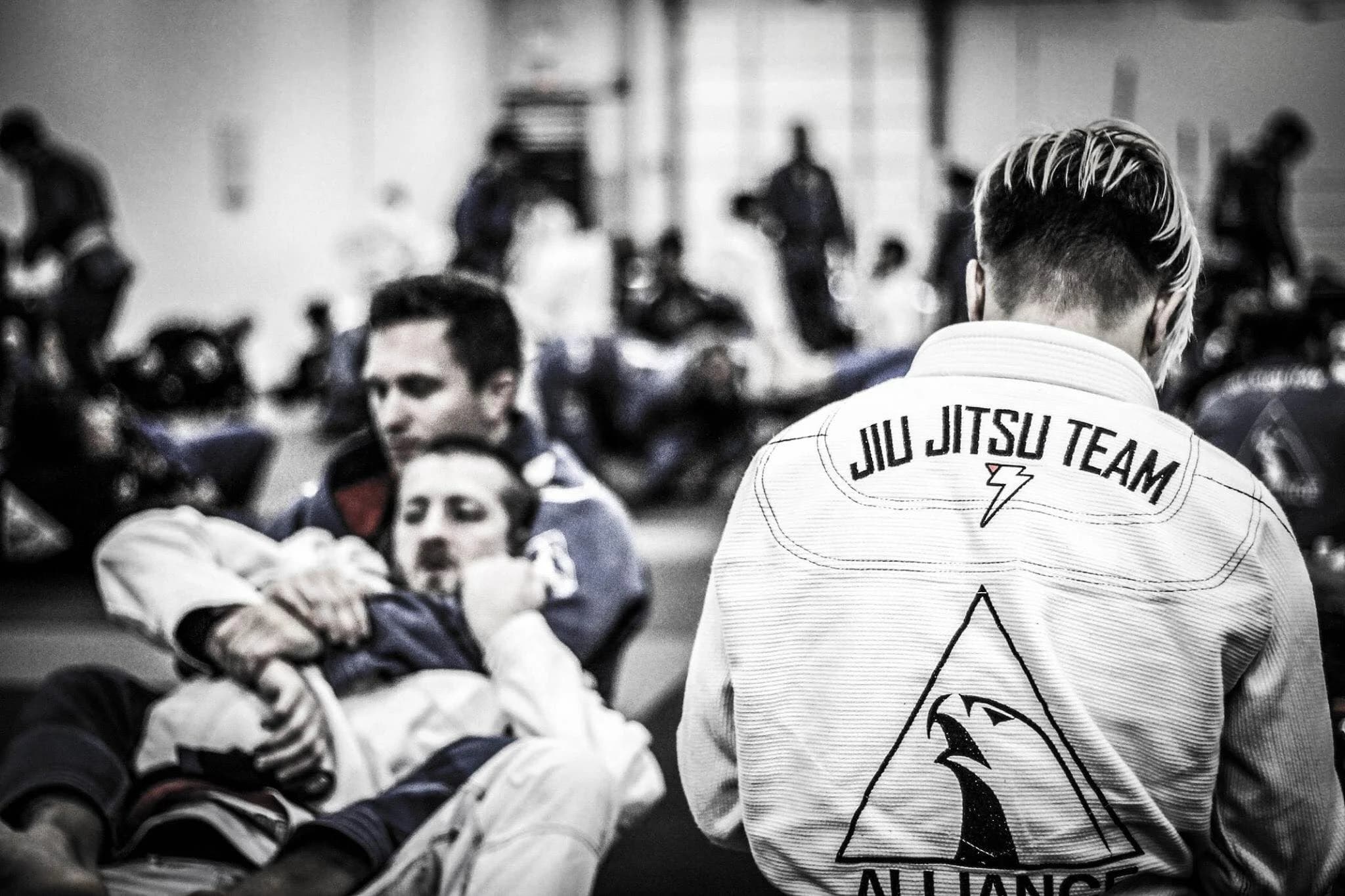 Main image of Evolution MMA Chicago - Schaumburg