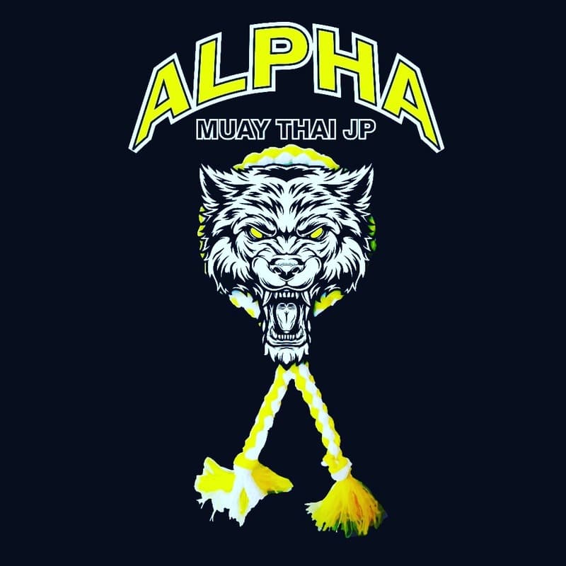 Main image of CT Alpha Muay Thai