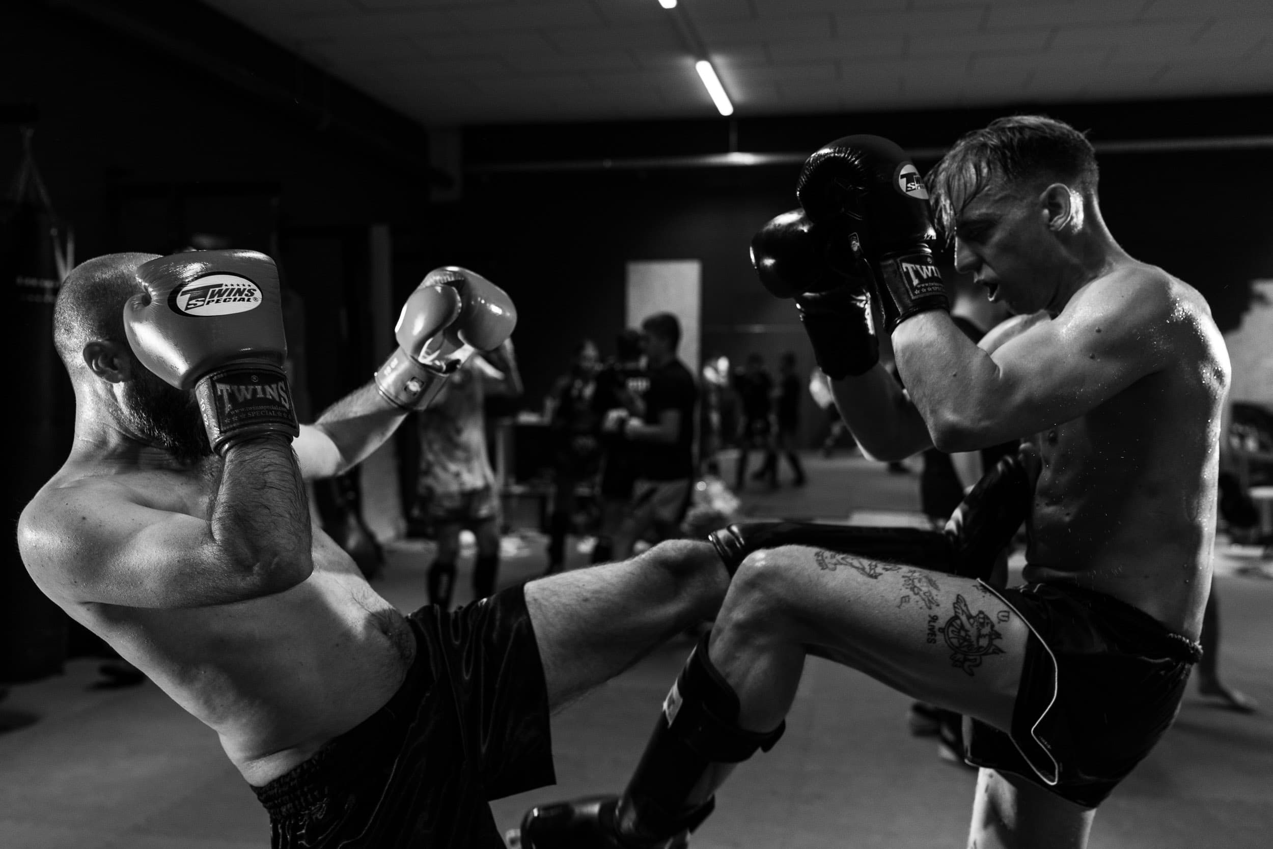 Main image of Muay Thai Sangha Zürich