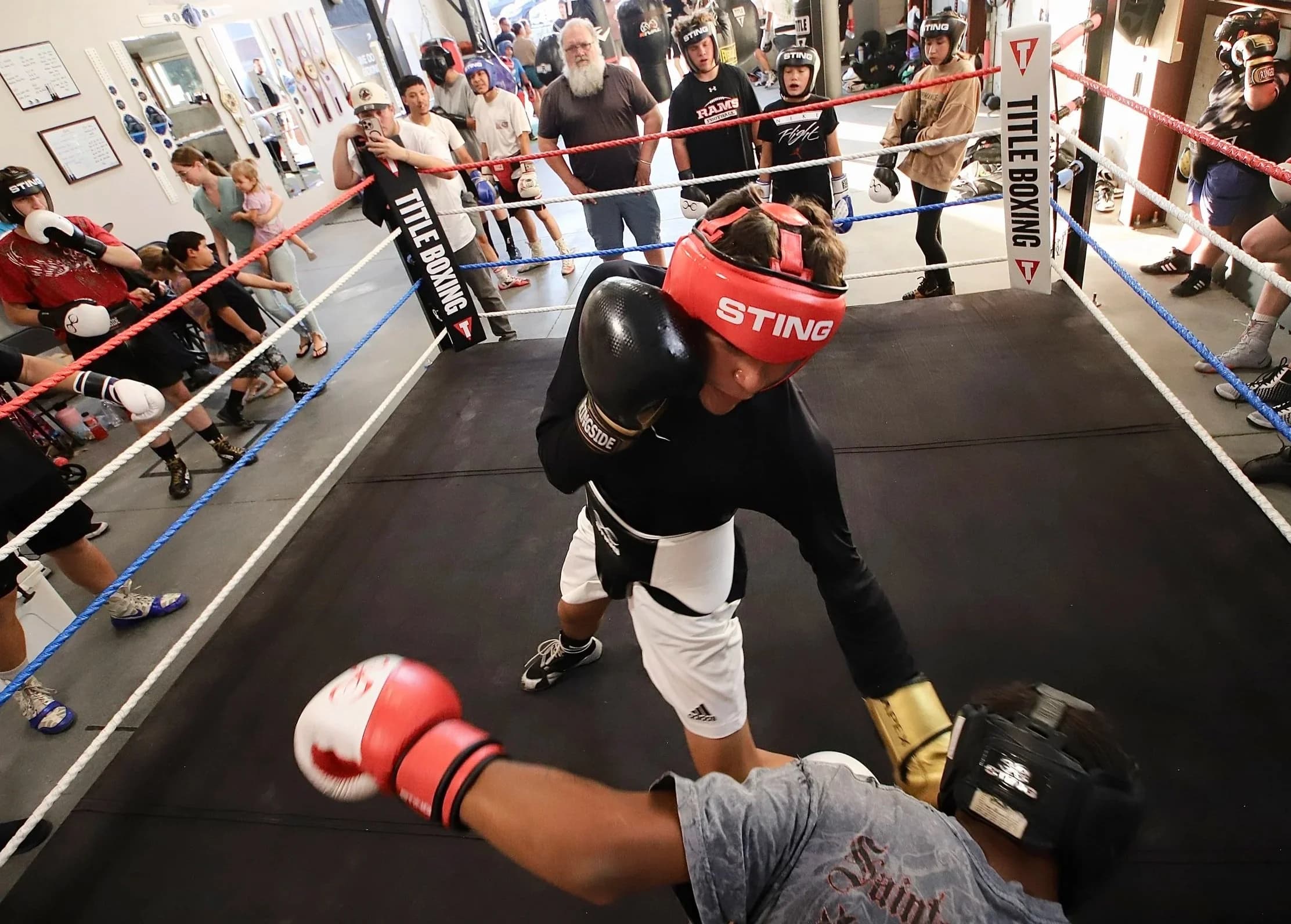 Idaho Falls Boxing Club logo