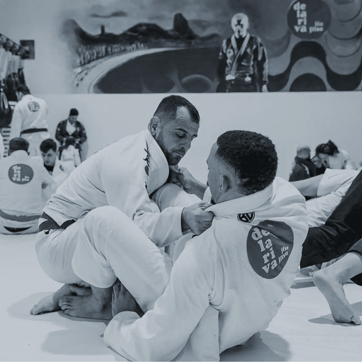 Main image of VIBES UG (haftungsbeschränkt) | VIBES Brazilian Jiu-Jitsu Lifestyle