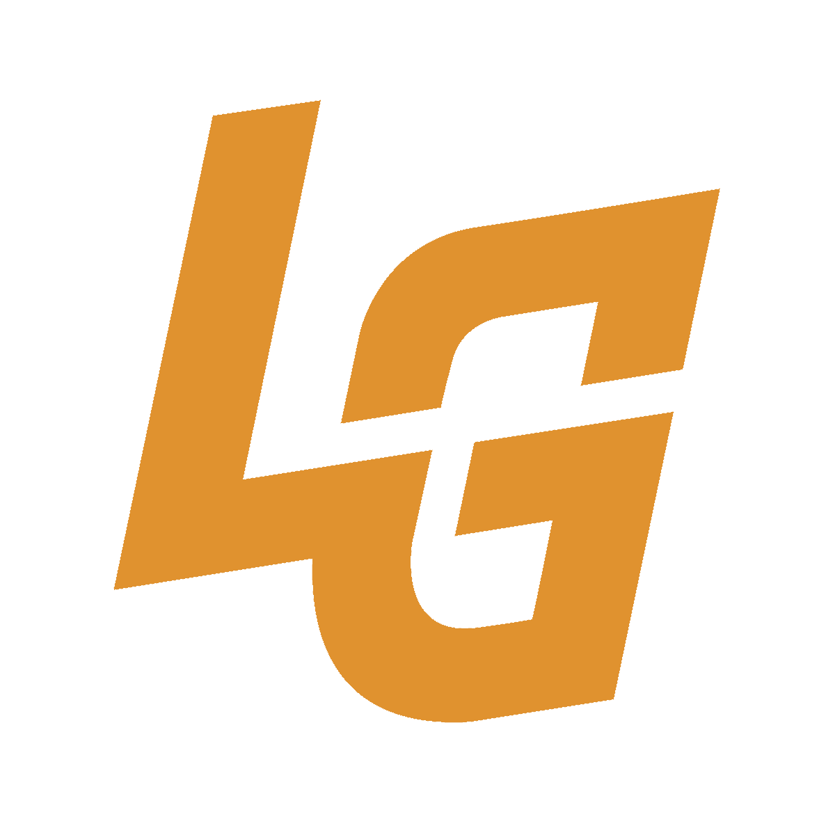 Level Ground Mixed Martial Arts logo